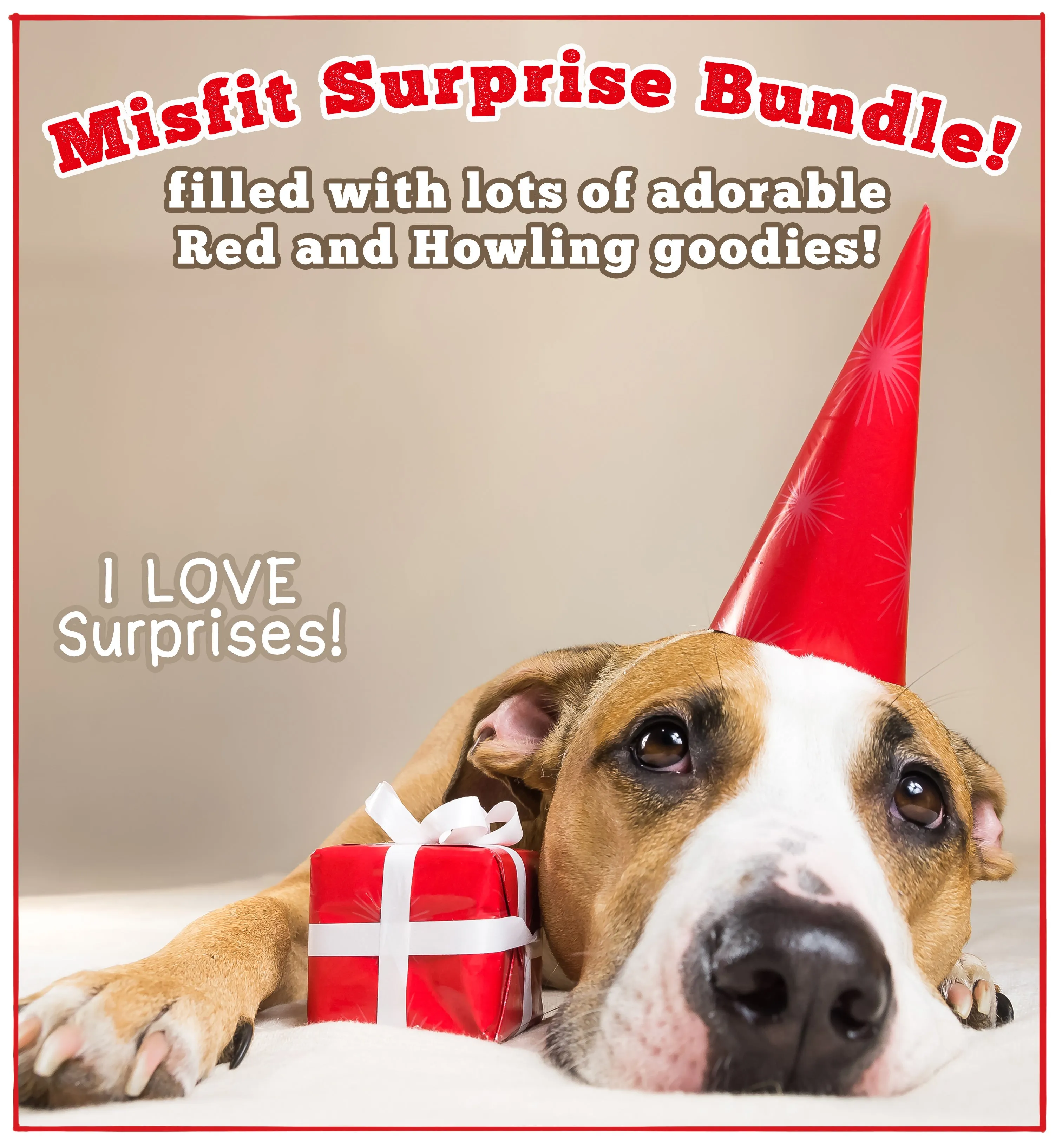 Misfit Surprise Bundle!