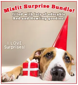 Misfit Surprise Bundle!