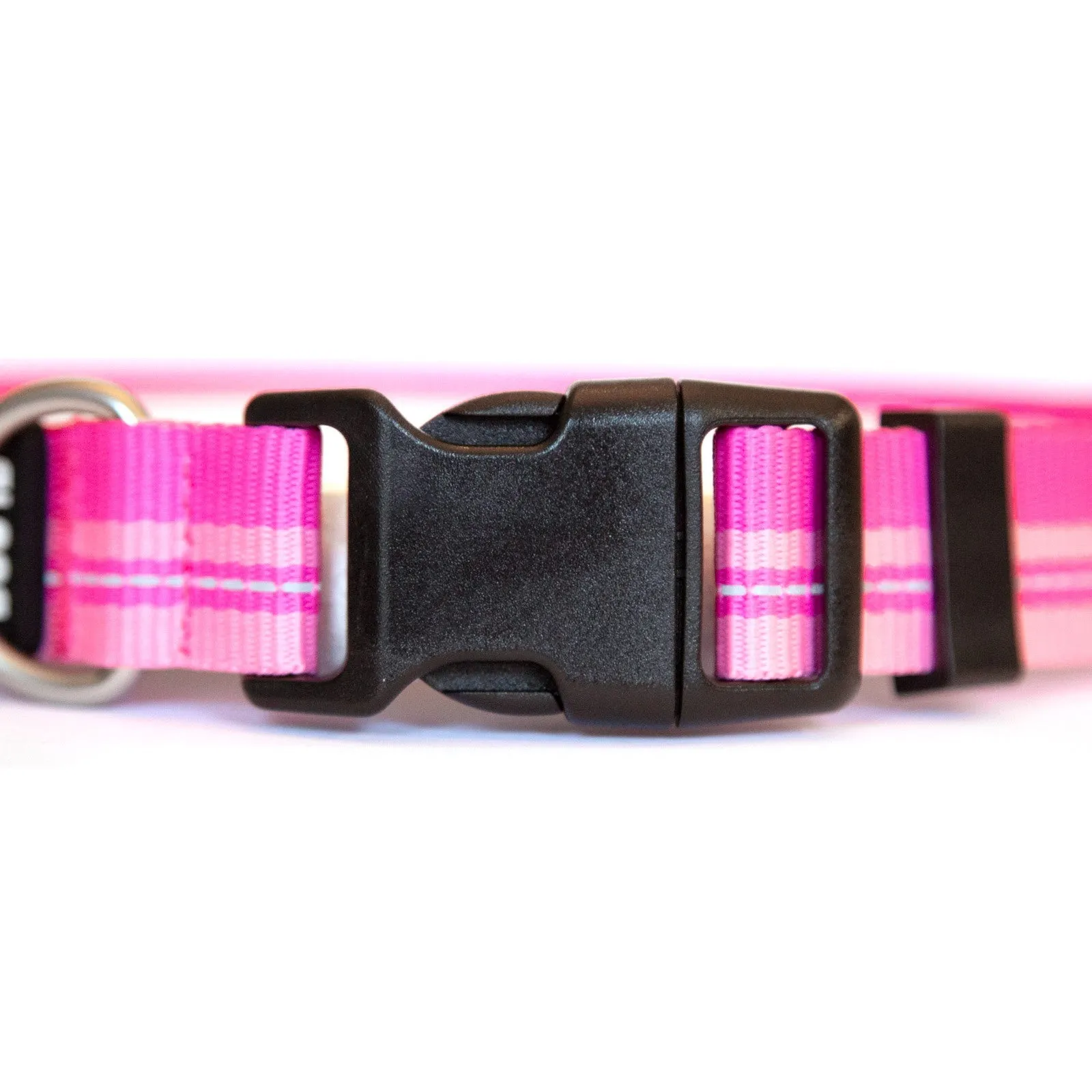 Rock Solid Collar ID 1